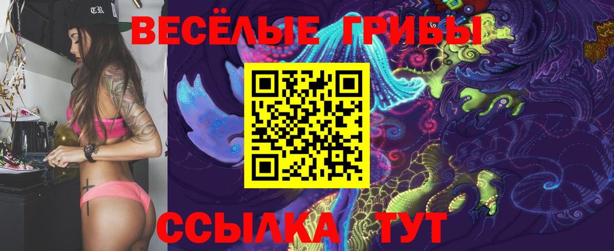 Галлюциногенные грибы Psilocybe Лысьва